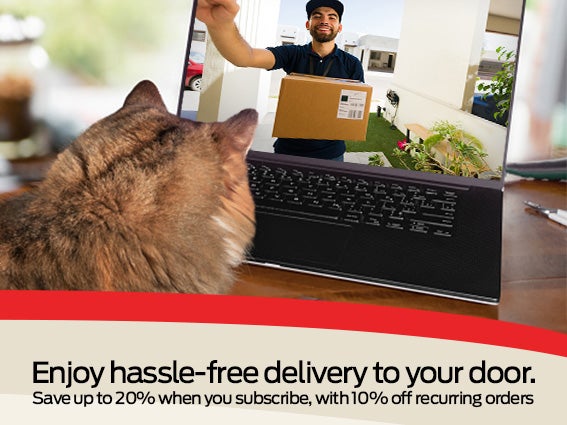 Cat watching a laptop and text at the bottom about free delivery to your door