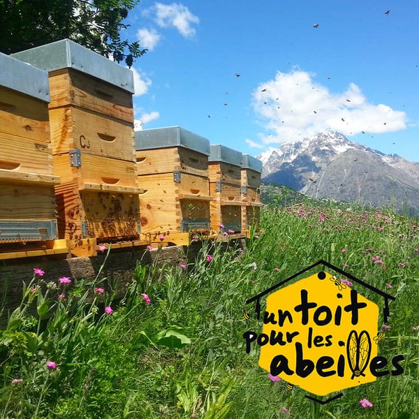 Participer à la sauvegarde des abeilles avec UN TOIT POUR LES ABEILLES