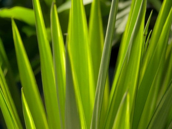 Environmentally committed to nature