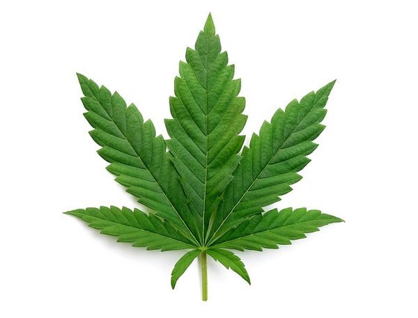 CBD