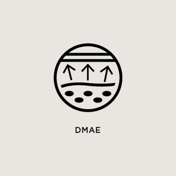 DMAE