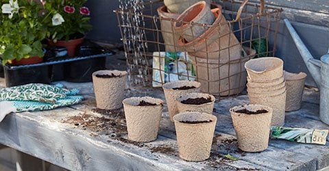 Time to sow