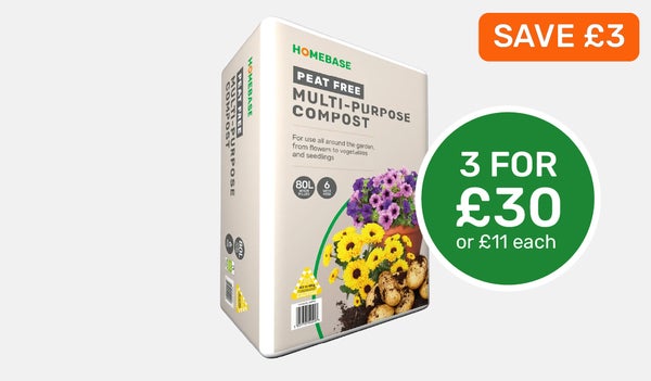 Homebase compost store