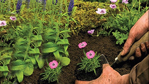 Compost, Soil & Bark Chippings