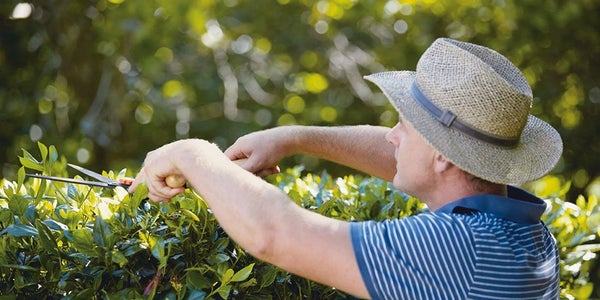 Garden Tools - Garden & Outdoor | Homebase