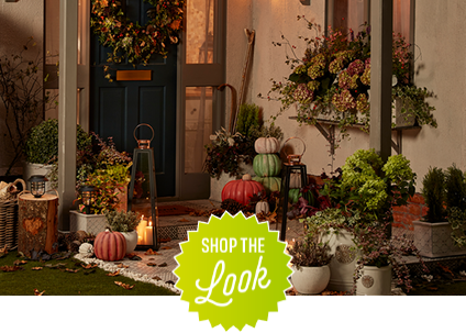 Shop the look - shed
