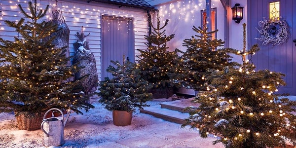 outdoor christmas decorations our range homebase homebase