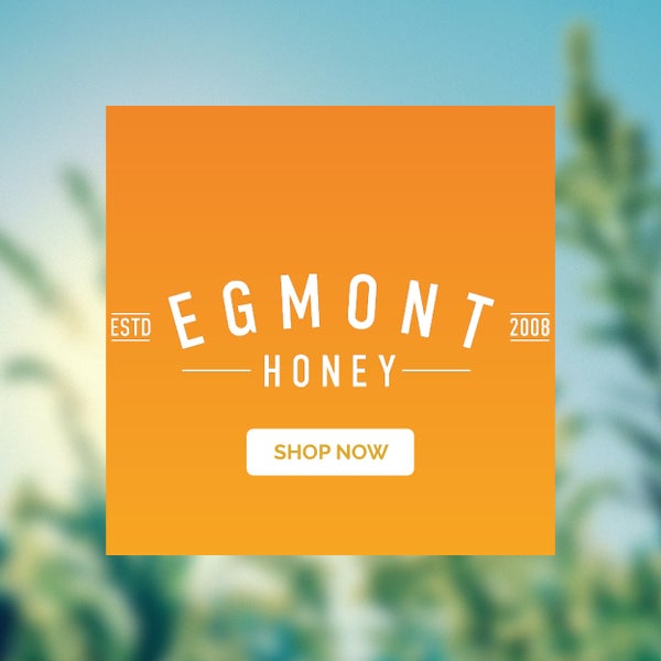 Egmont Honey products on offer