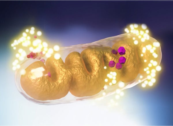 Image of glowing cell