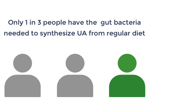 Only 1 in 3 people have the gut bacteria needed to synthesize UA from regular diet