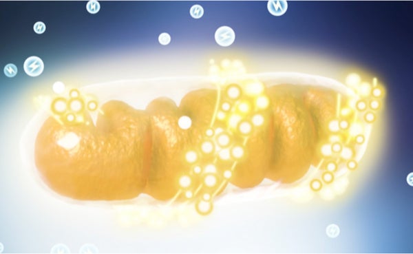 glowing cell