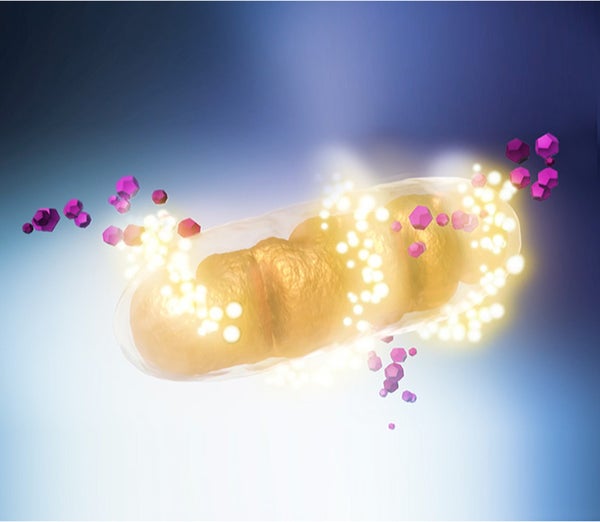 Image of glowing cell