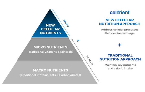 Pyramid displaying the difference between the traditional cellular nutrition approach compared to the Celltrient approach