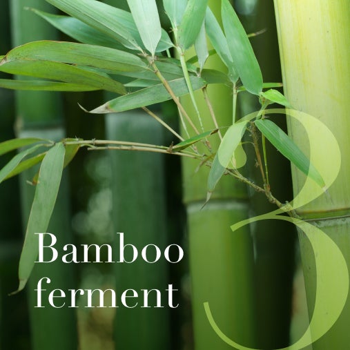 Bamboo ferment