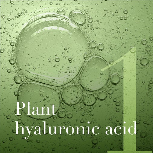 Plant-based hyaluronic acid