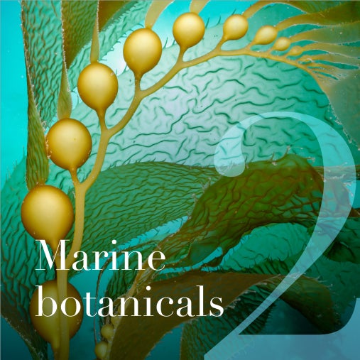 Marine botanicals
