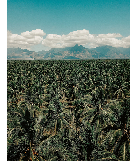 Du ferme au frigo