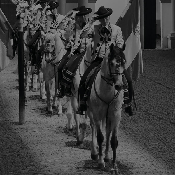 Men on horses