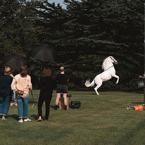 Horse mid-air with group of people watching