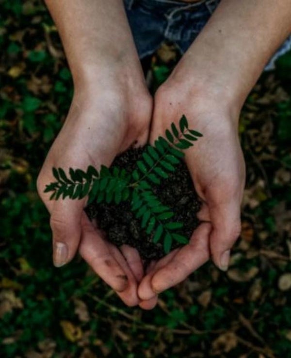Hand holding small plant. Visit @SukinSkincare Instagram