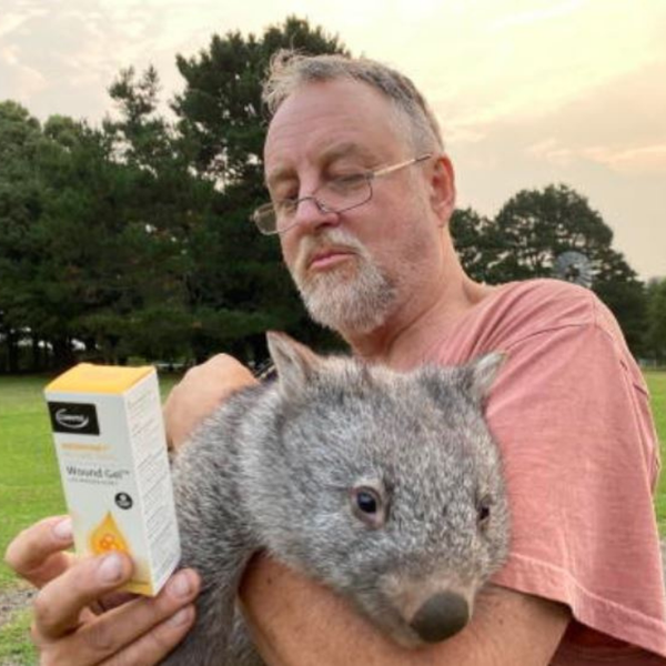 A volunteer taking part in Comvita Manuka Honey project, which is helping Australian Wildlife affected by bushfires, and holds a koala while looking at Comvita's product.