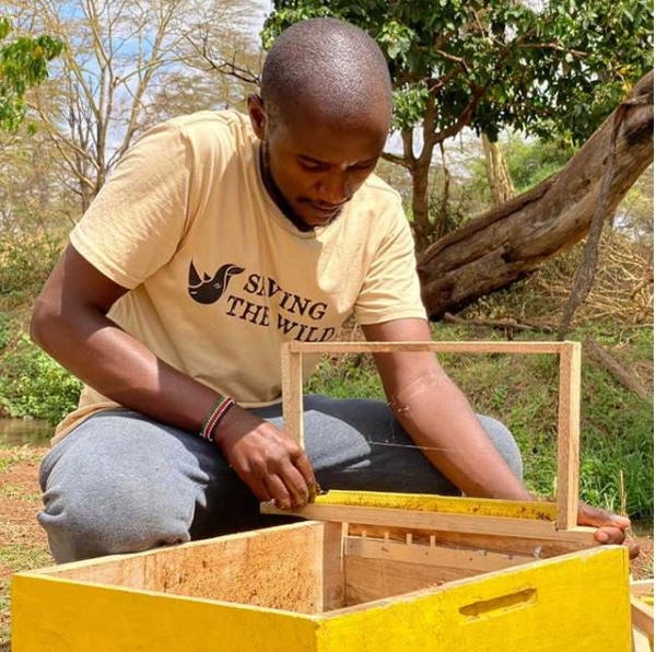 A program educator for Kimana bee project, sets up a new hive box that will hang in the tree behind him. The project is supported by Comvita.