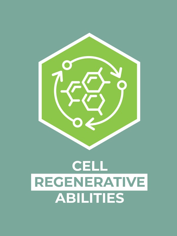 Cell regenerative abilities