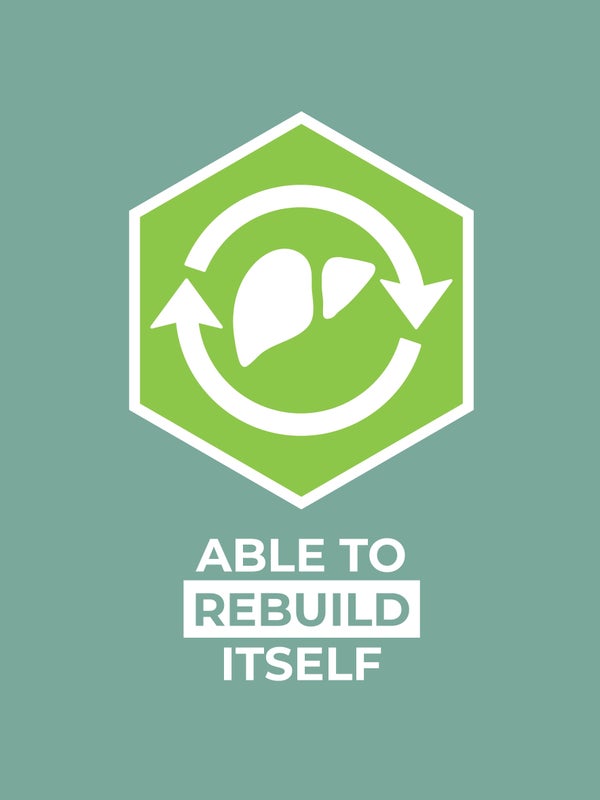 Able to rebuild itself