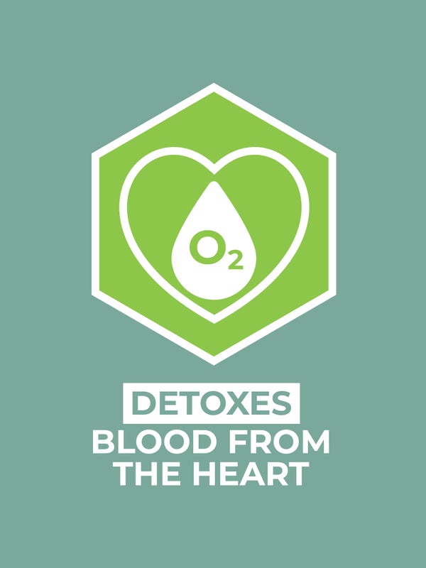 detoxes blood from the heart