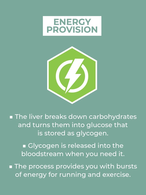 energy provision. The liver breaks down carbohydrates and turns them into glucose that is stored as glycogen. Glycogen is released into the bloodstream when you need it. The process provides you with bursts of energy for running and exercise.