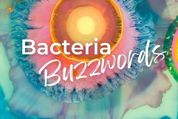 Bacteria Buzzwords