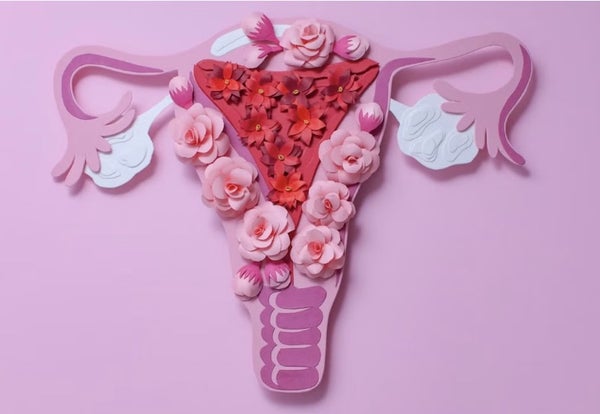 The Importance of Self-Care: A Guide to Maintaining Vaginal Health