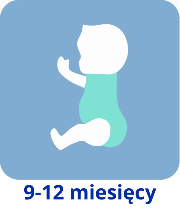 9 - 12 miesięcy dziecko