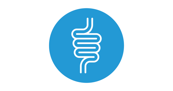 A sign of digestive health. An image of the gut on a blue background.