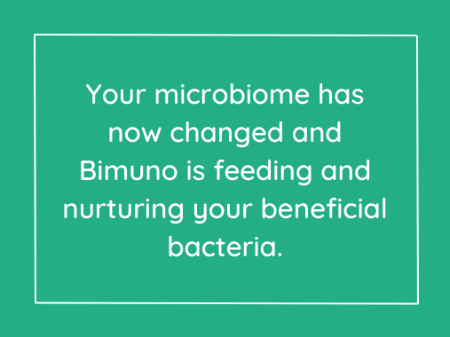 Your microbiome has now changed and Bimuno is feeding and nurturing your beneficial bacteria.