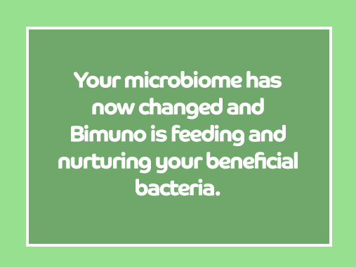Your microbiome has now changed and Bimuno is feeding and nurturing your beneficial bacteria.