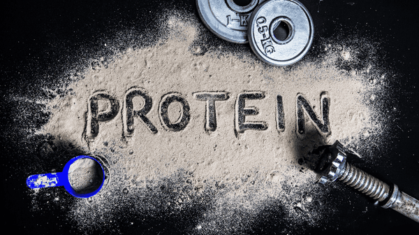 Beginners’ Guide to Proteins