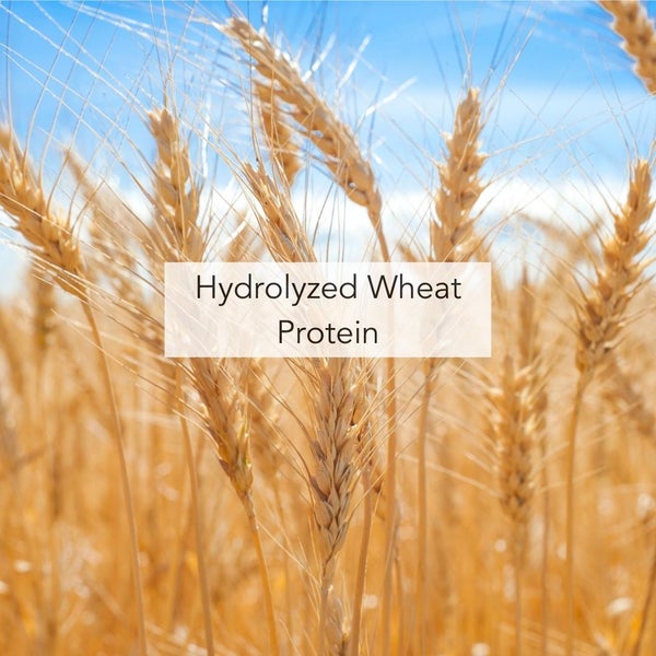 Hydrolysed Wheat Protein