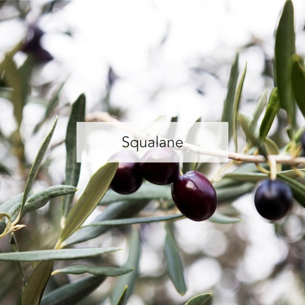 Squalane