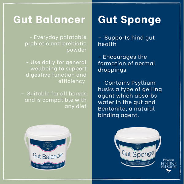 Gut Balancer  -	Everyday Palatable probiotic and prebiotic powder  -	Use daily for general wellbeing to support digestive function and efficiency  -	Suitable for all horses and is compatible with any diet   Gut Sponge  -Supports hind gut health  Encourages the formation of normal droppings  Contains psyllium husks a type of gelling agent which absorbs water in the gut and bentonite, a natural binding agent