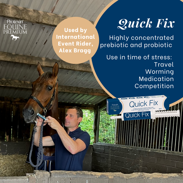 Quick Fix  Highly concentrated prebiotic and probiotic.  Use in time of stress; Travel, Worming ,medication, competition