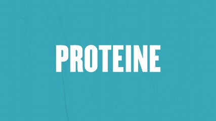 Protein