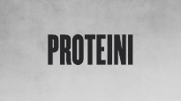 Proteini