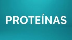 Proteínas