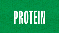 Vegan Protein