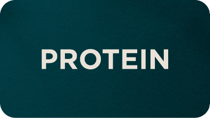 PROTEIN