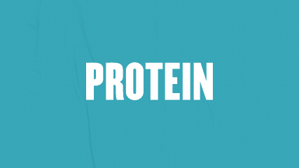 Protein