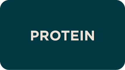 Shop Vegan proteins