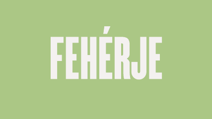 Vegán Fehérje