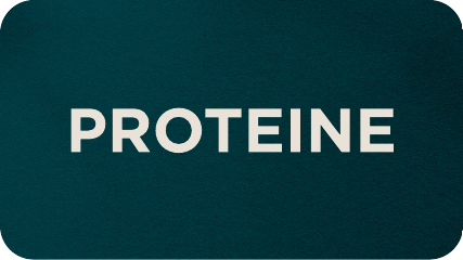 shop protein supplements